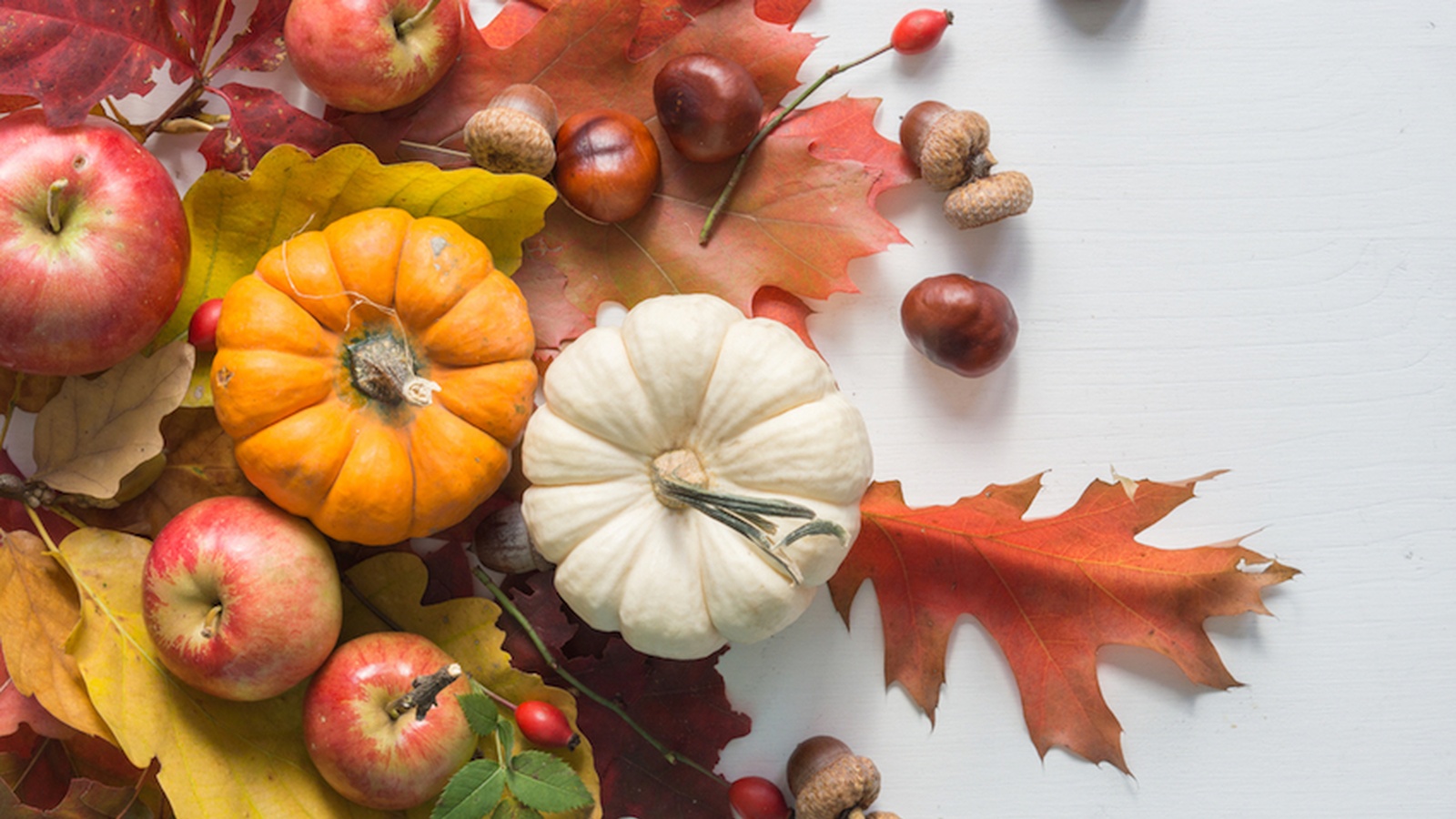 5 Fall Foods And The Reason To Love Them