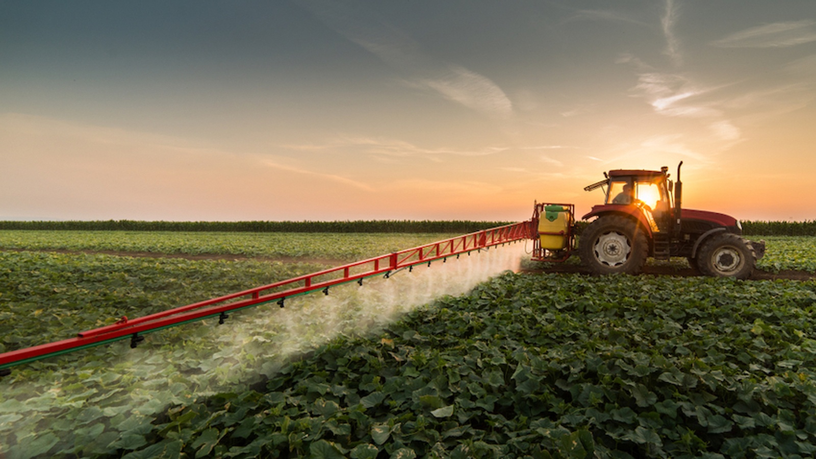Harmful Herbicides - The Research Round-Up On Roundup