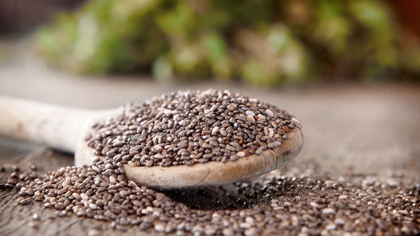 10 Reasons To Add Chia Seeds Into Your Diet