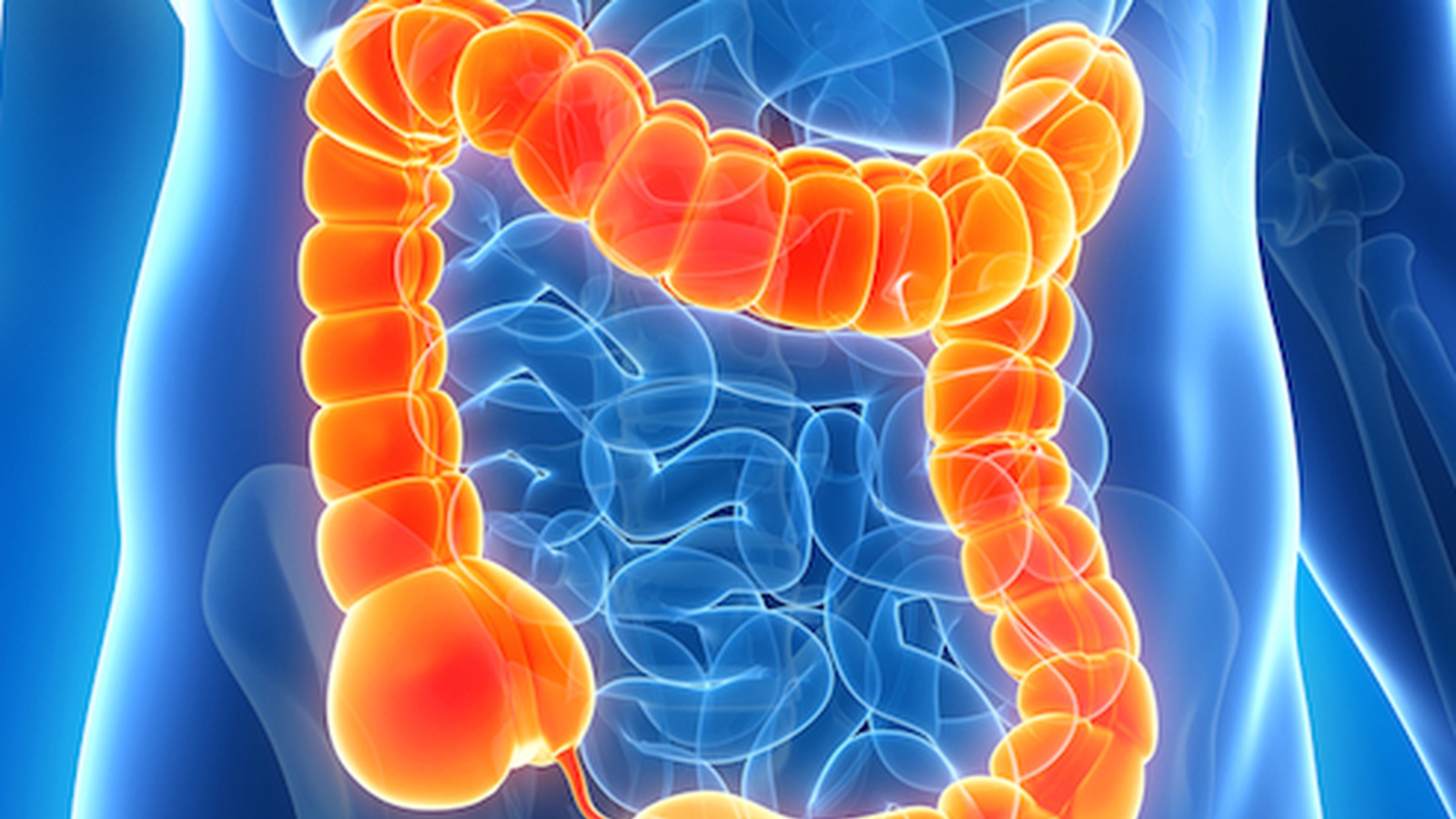 Colon Hydrotherapy - The Therapy that Even Doctors are Recommending