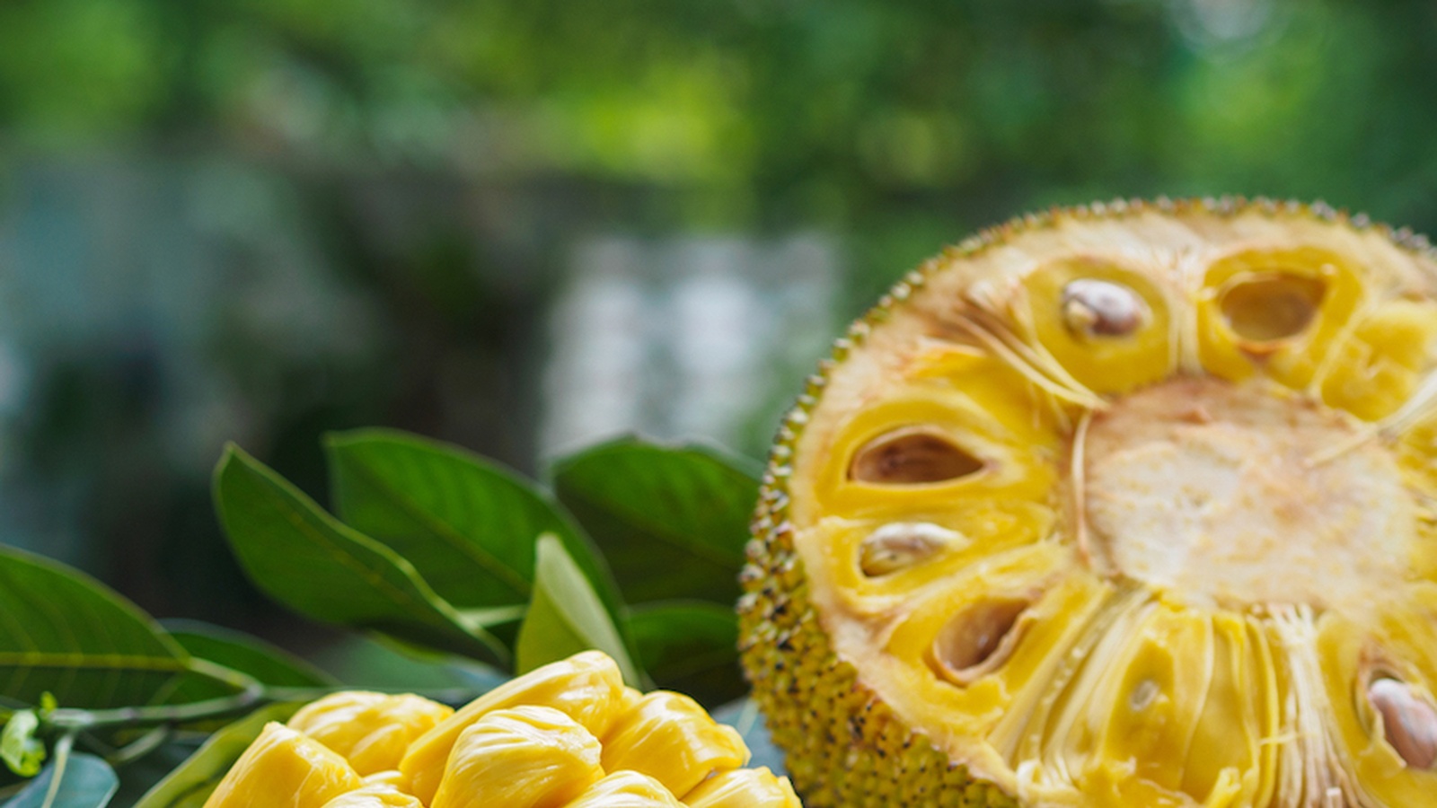 What is Jackfruit? Everything You Need to Know About This Popular Plant-Based “Meat”