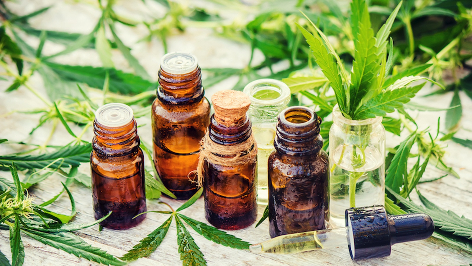7 Health Benefits of Cannabis Oil