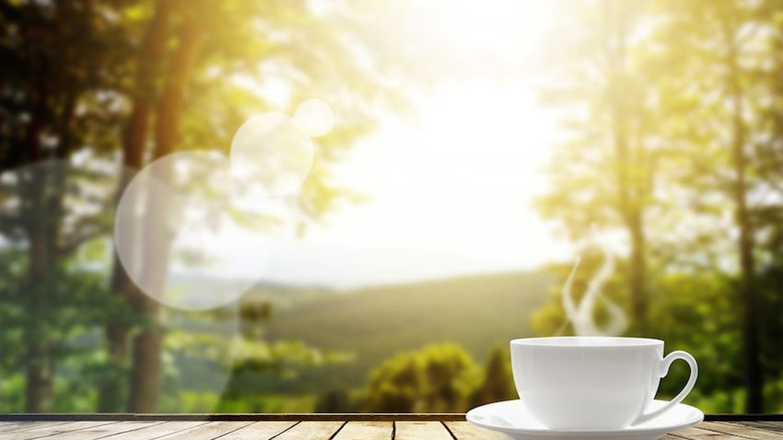 5 Reasons To Drink Herbal Tea