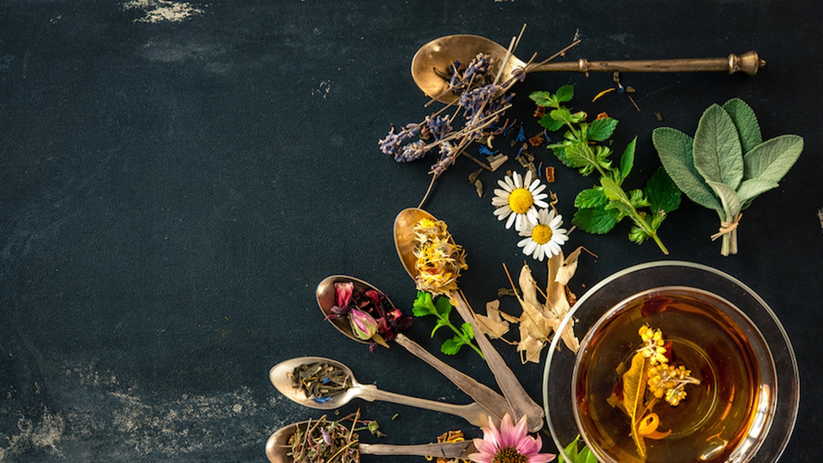 10 Ancient Medicinal Herbal Remedies That Actually Work