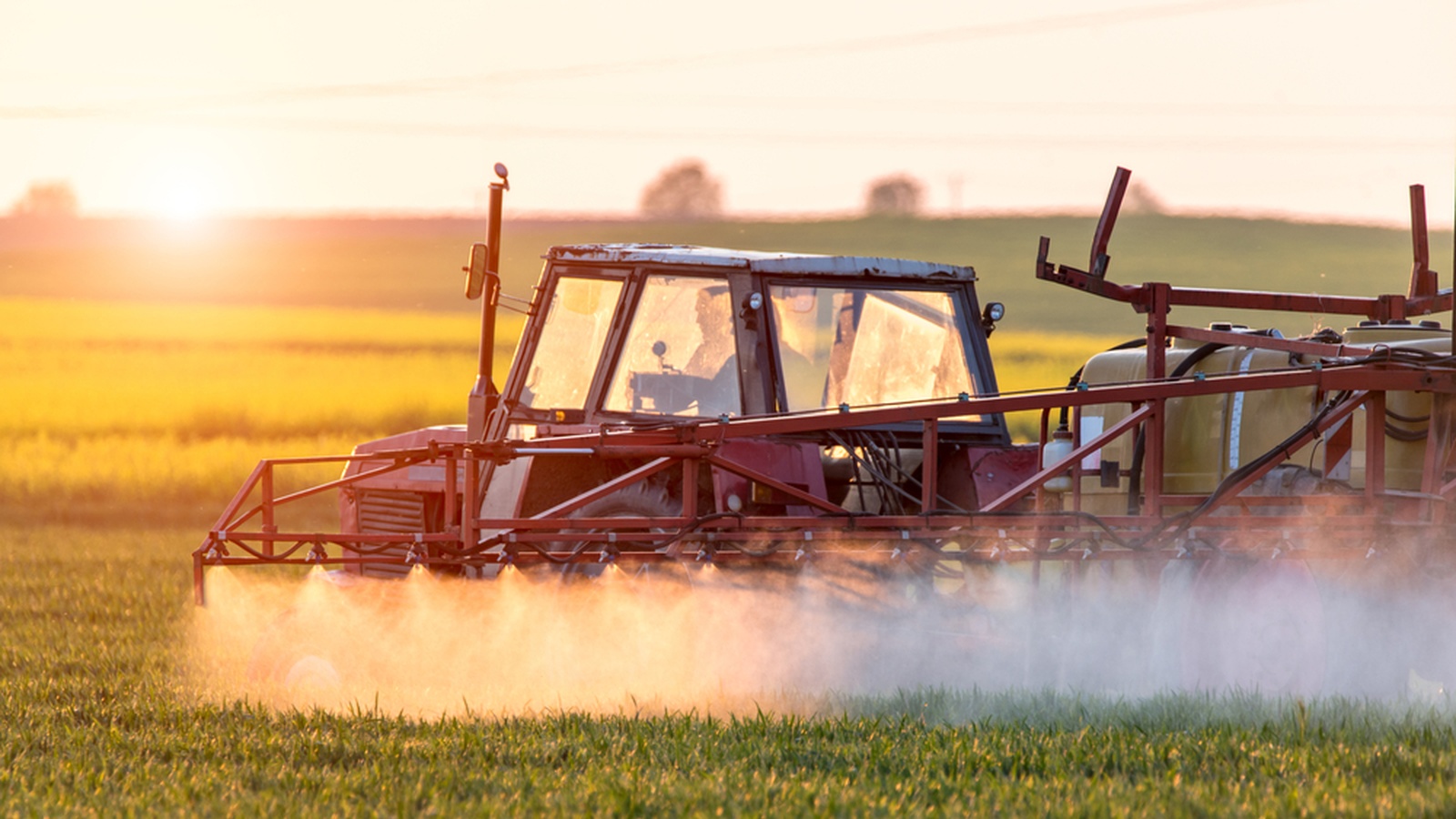 What Is ‘Roundup’ Doing To Your Body?