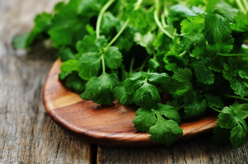 Top 5 Health Benefits Of Cilantro FOOD MATTERS®