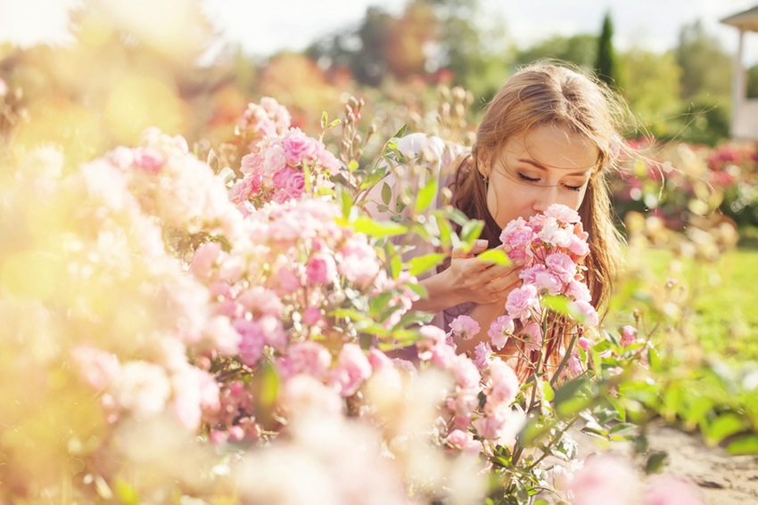 Best Food Allergy Pills Best Food Allergy Pills