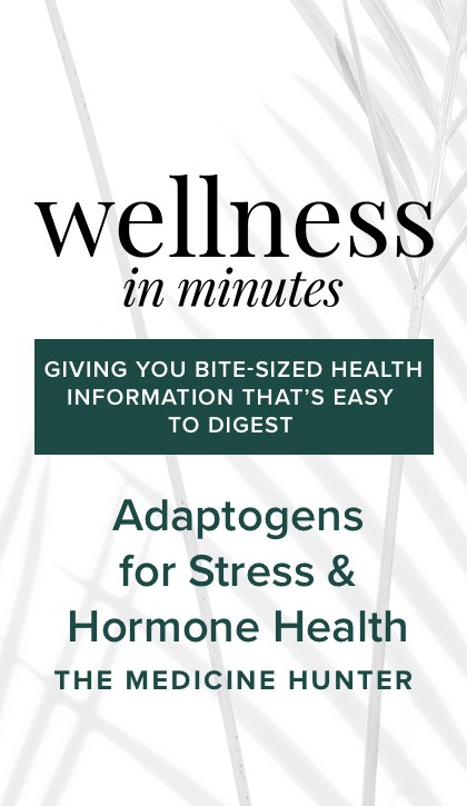 Adaptogens for Stress & Hormone Health with The Medicine Hunter
