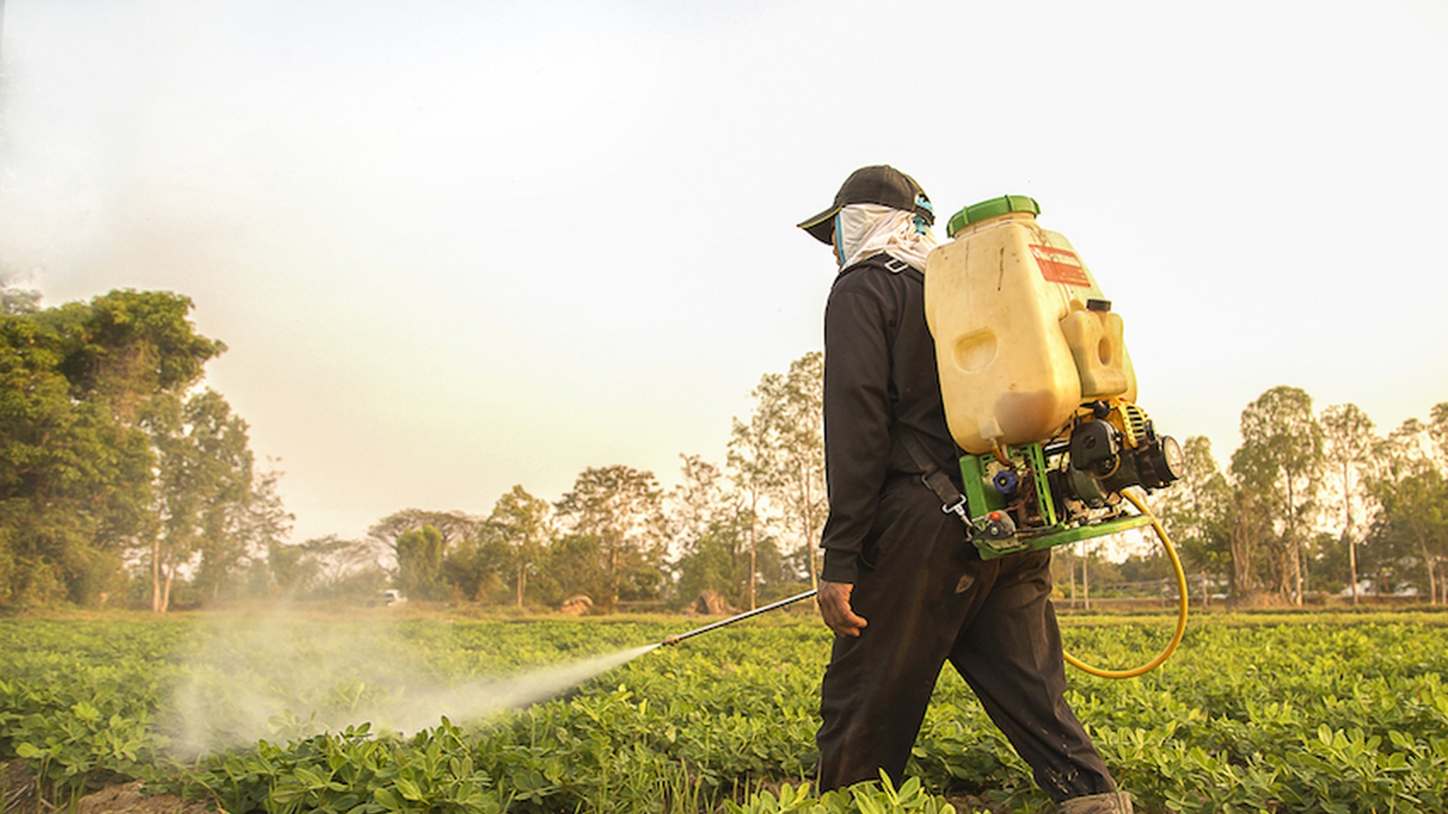 Monsanto Forced To Display Cancer Warning Labels