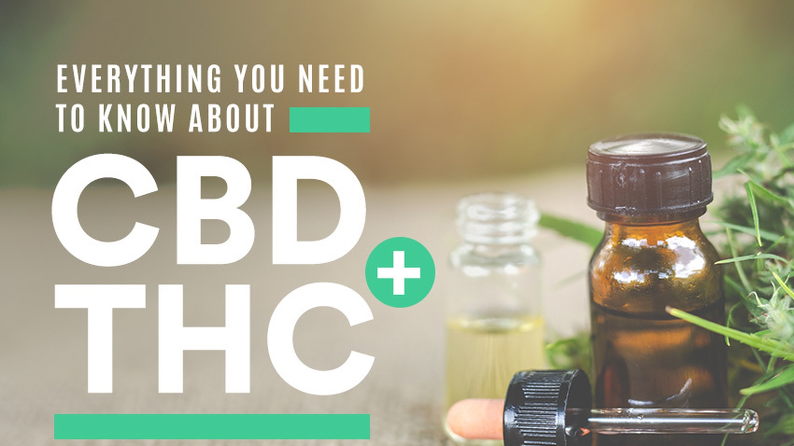 Learn Everything You Need to Know About CBD + THC