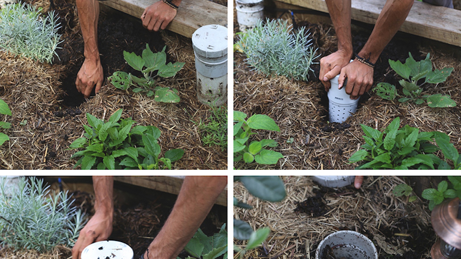 DIY Worm Towers