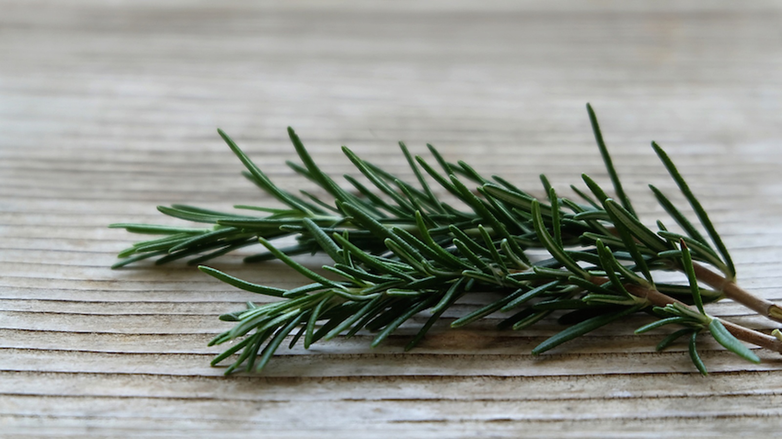 11 Herbs That Will Help Make Your Memory, Focus And Brain Work Better Than Ever