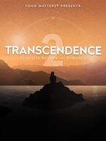 Transcendence 2