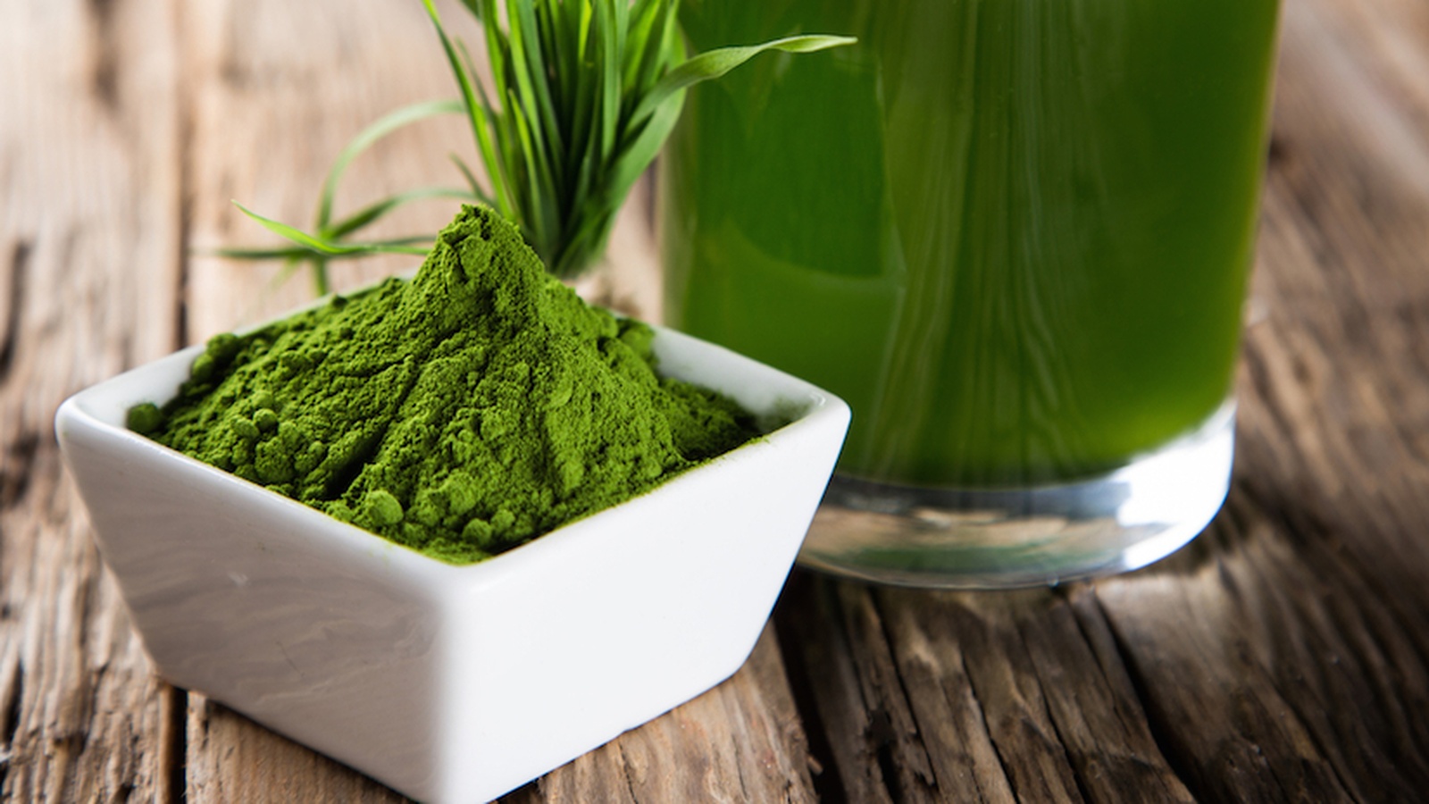 Therapeutic Uses of Spirulina for Treating Radiation Poisoning