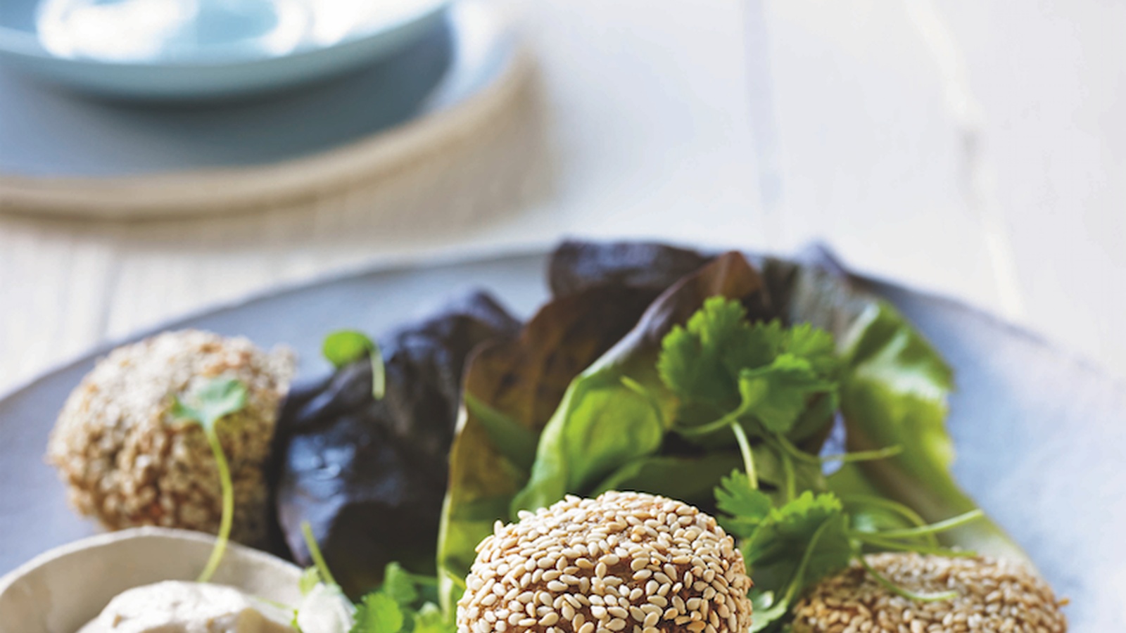 Sunflower Seed Falafel Balls With Tahini Dipping Sauce