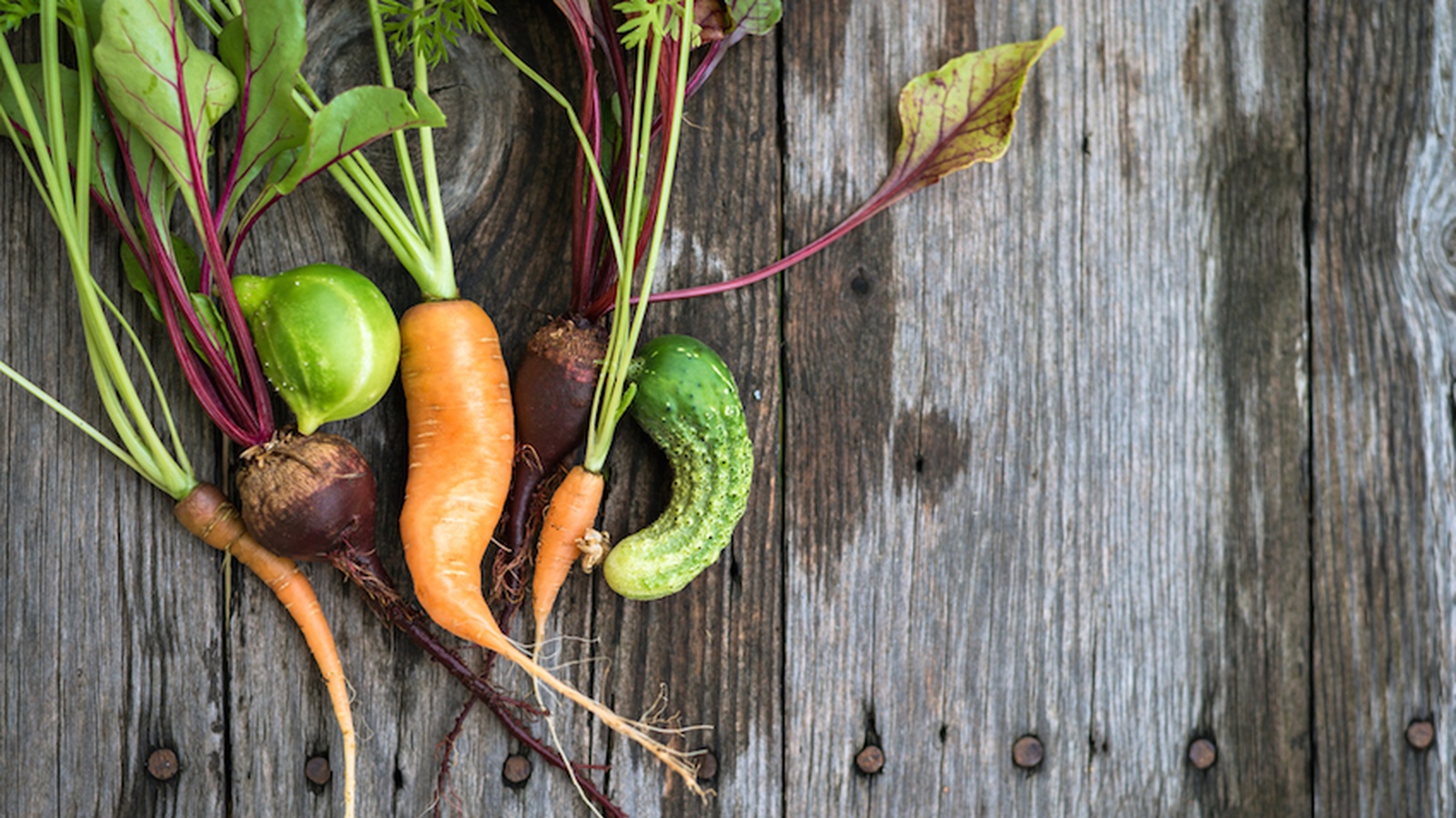 4 Reasons To Love Ugly Fruit And Vegetables