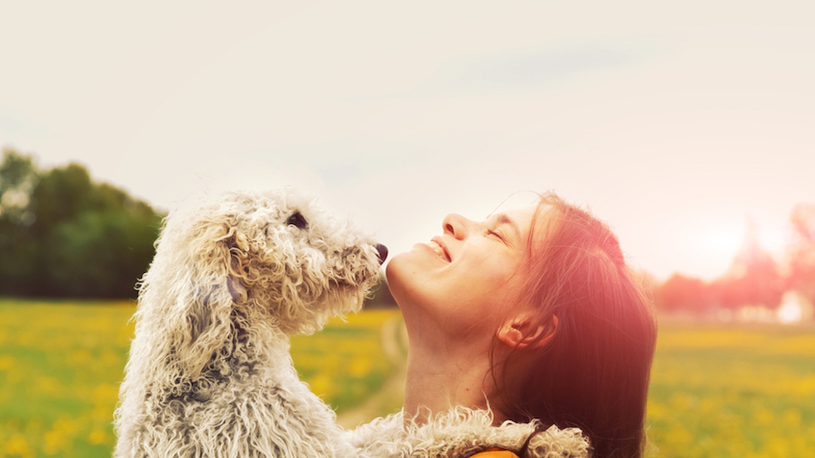 5 Surprising Health Benefits Of Owning Cats And Dogs 