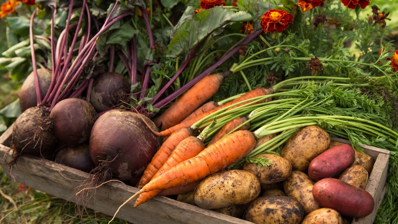 5 Ways to Lower Your Pesticide Consumption