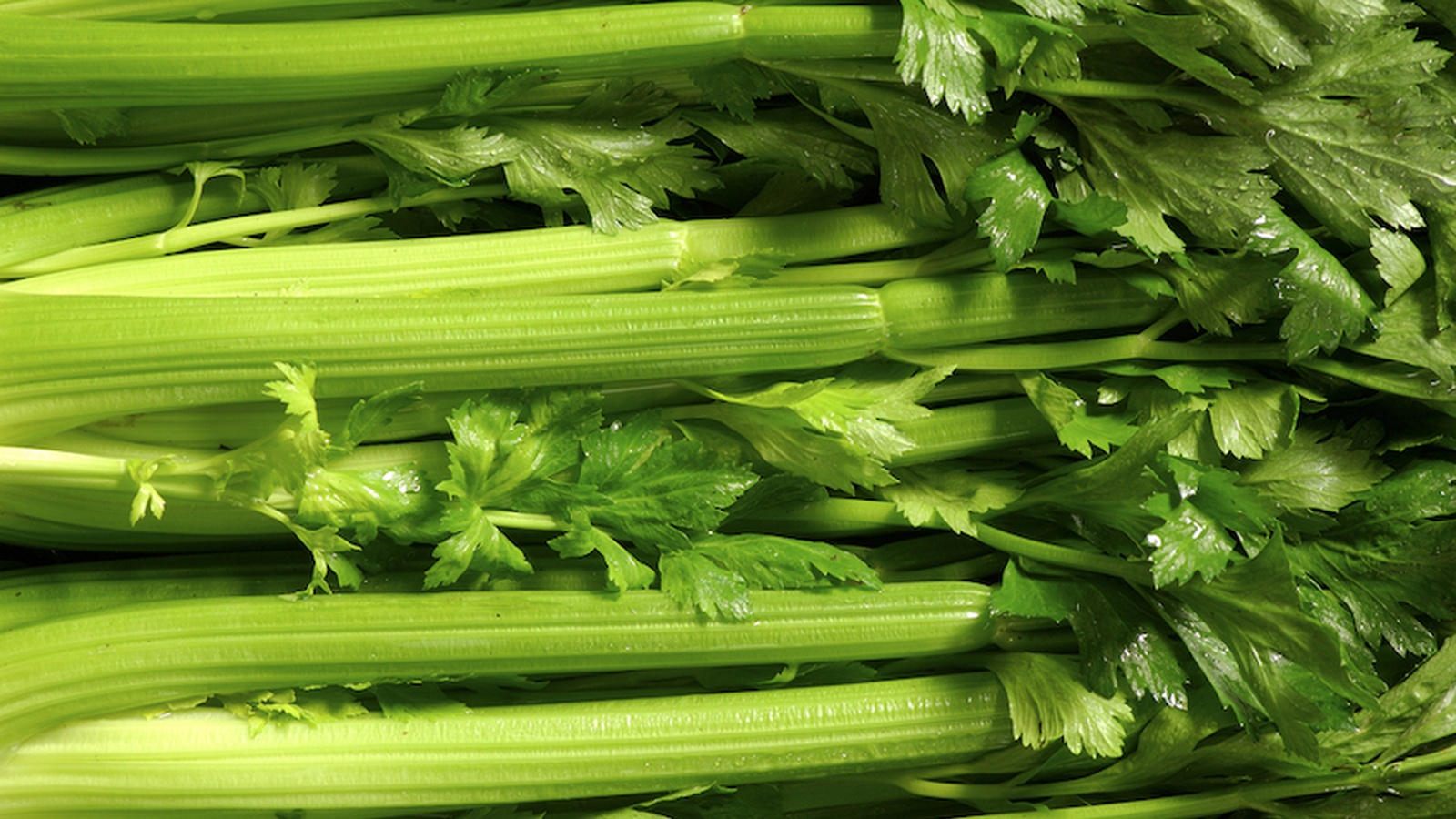10 Health Benefits of Celery Juice