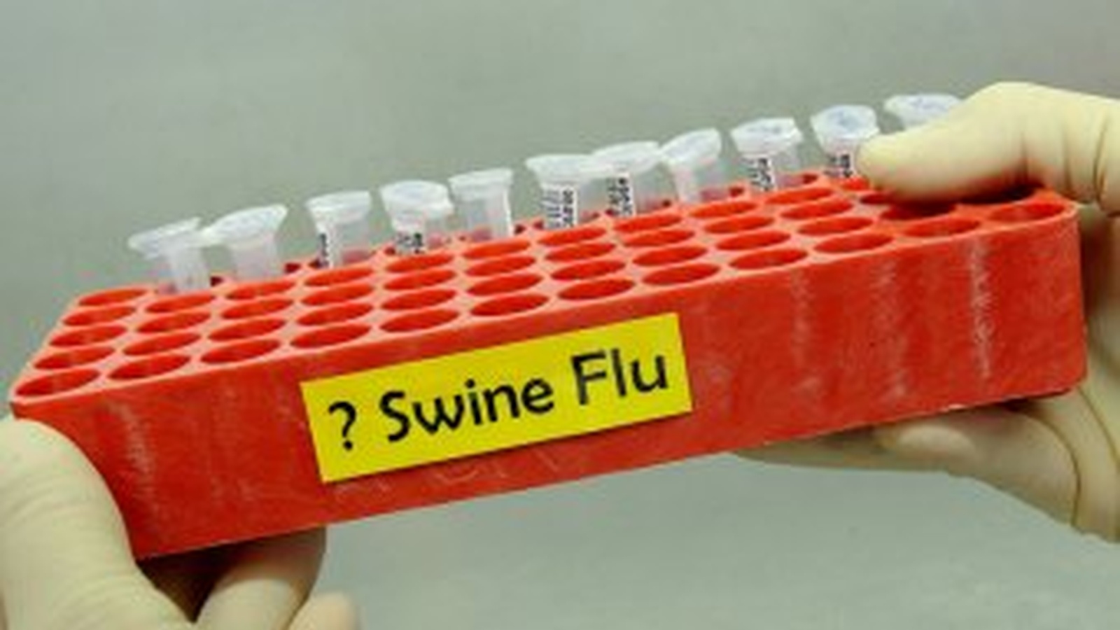Warning: Swine Flu H1N1 Vaccine Is Not Safe!