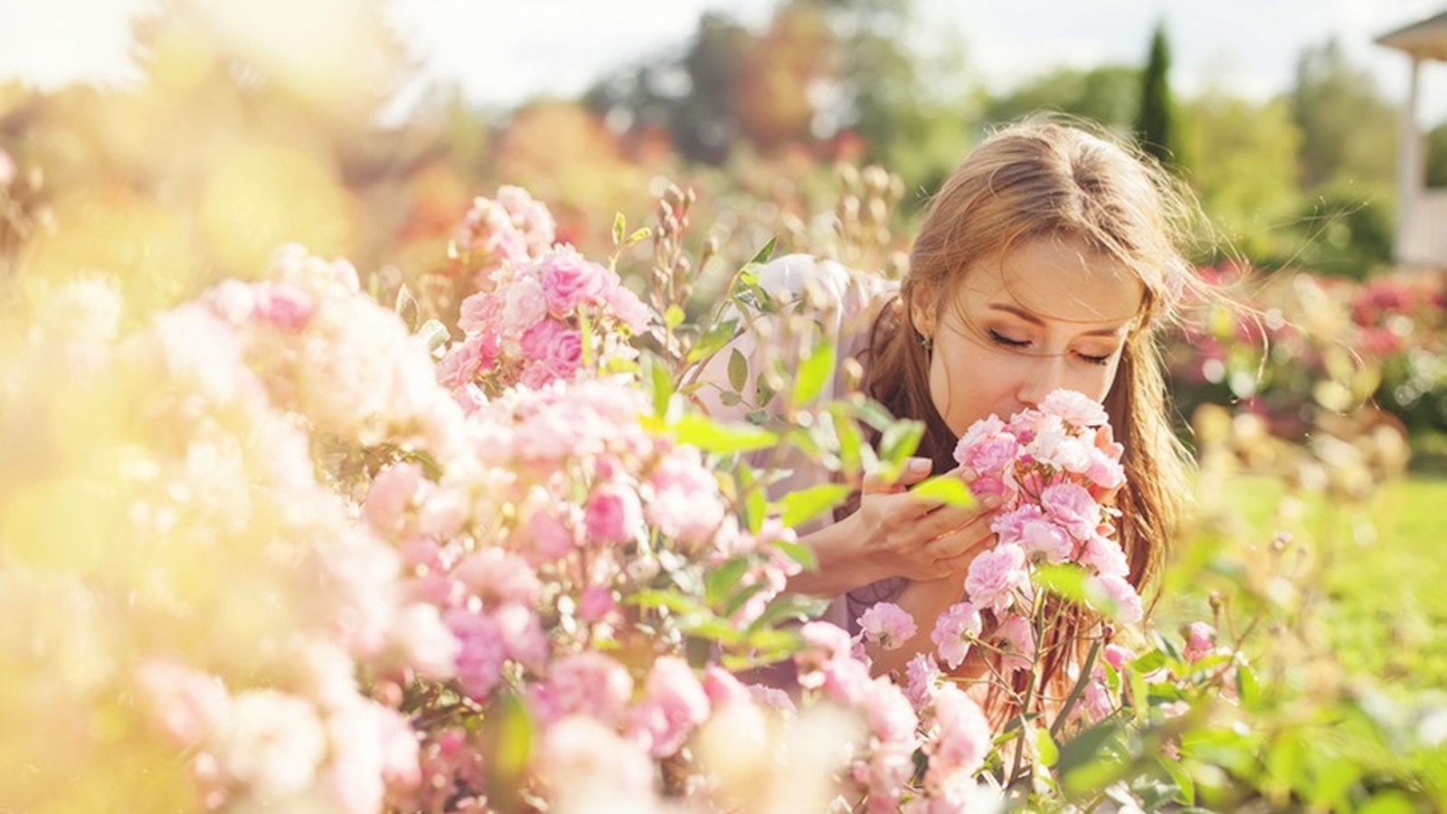 Best Herbs For Allergy Relief (And How To Use Them!)