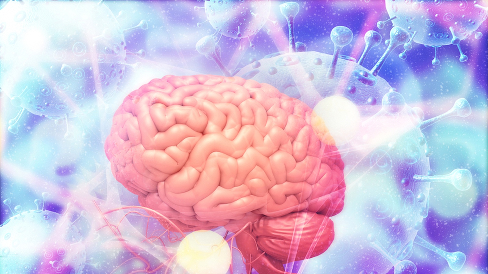The Amazing Effects Meditation has on the Brain & Immune System