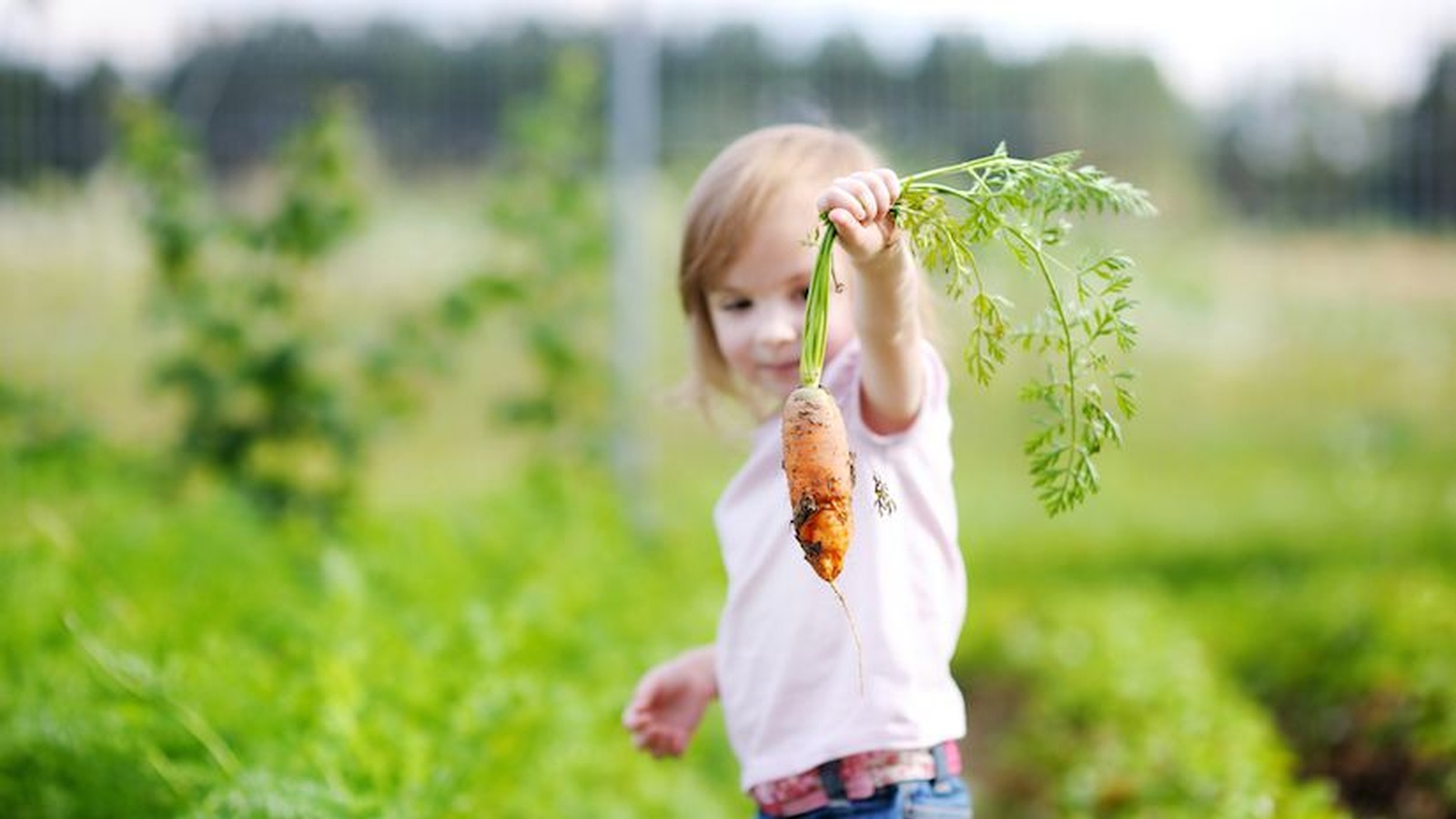 10 Sneaky Ways To Include More Veggies In Little (And Big) Kid's Diets