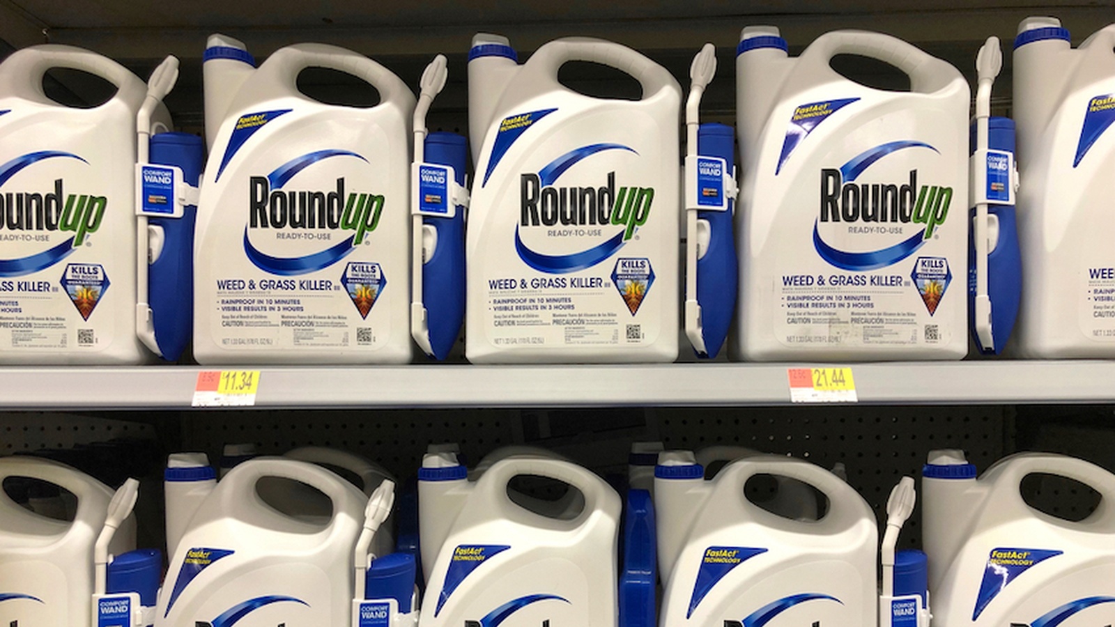 Breaking News: Monsanto Weedkiller Roundup Was ‘Substantial Factor’ in Causing Man’s Cancer