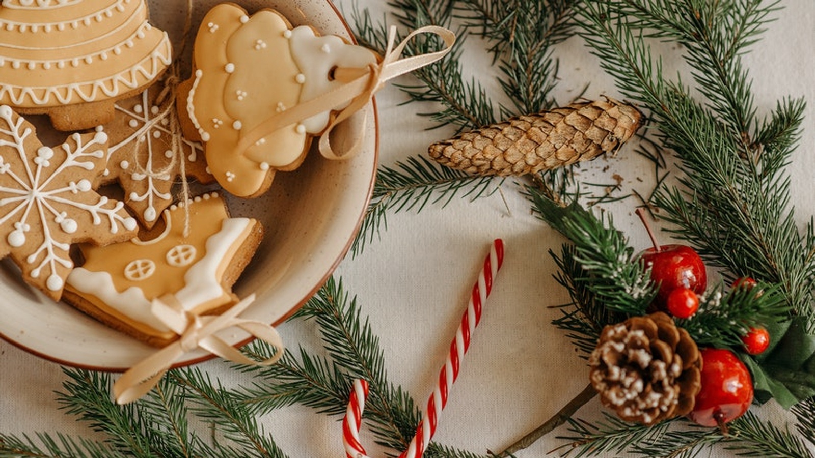 8 Reasons To Celebrate A Plant-Based Christmas This Year