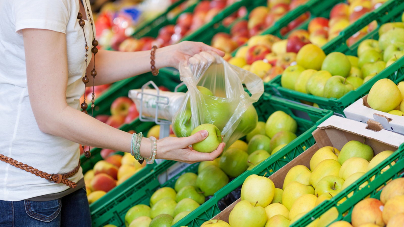 Are You Still Using Plastic Bags? #BanTheBag