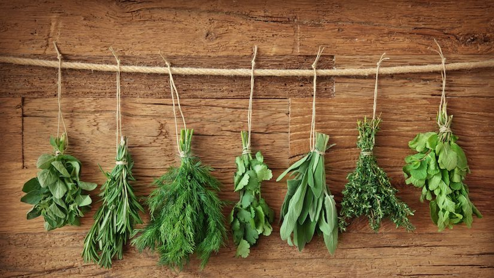 5 Herbs & Spices That Belong In Every Home