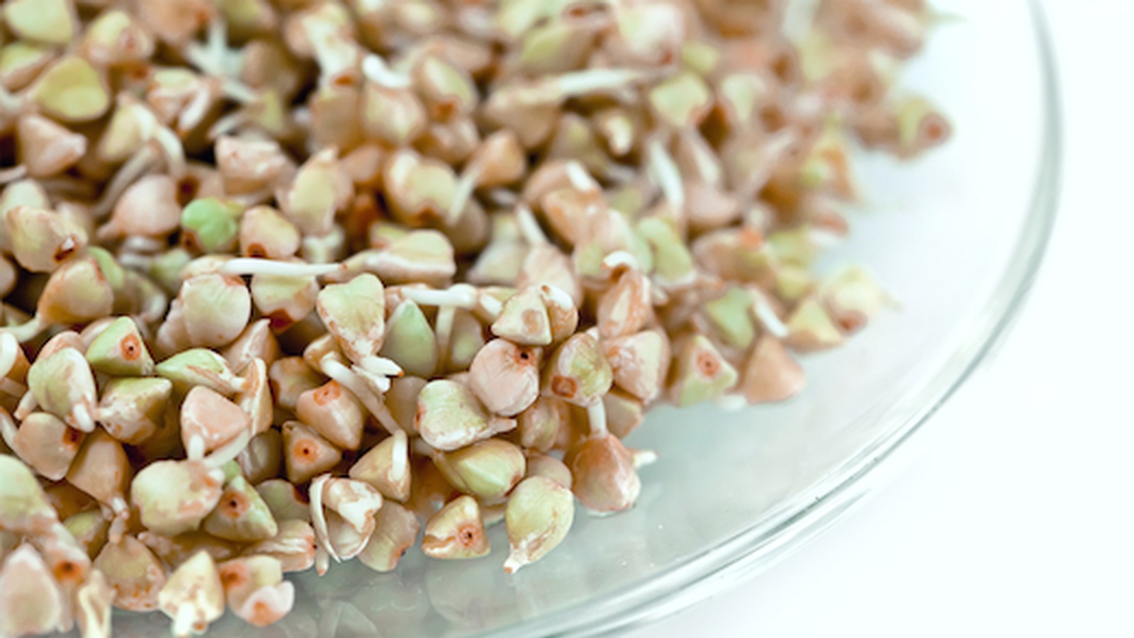 Buckwheat Sprouts - Nutritional Facts & Recipe