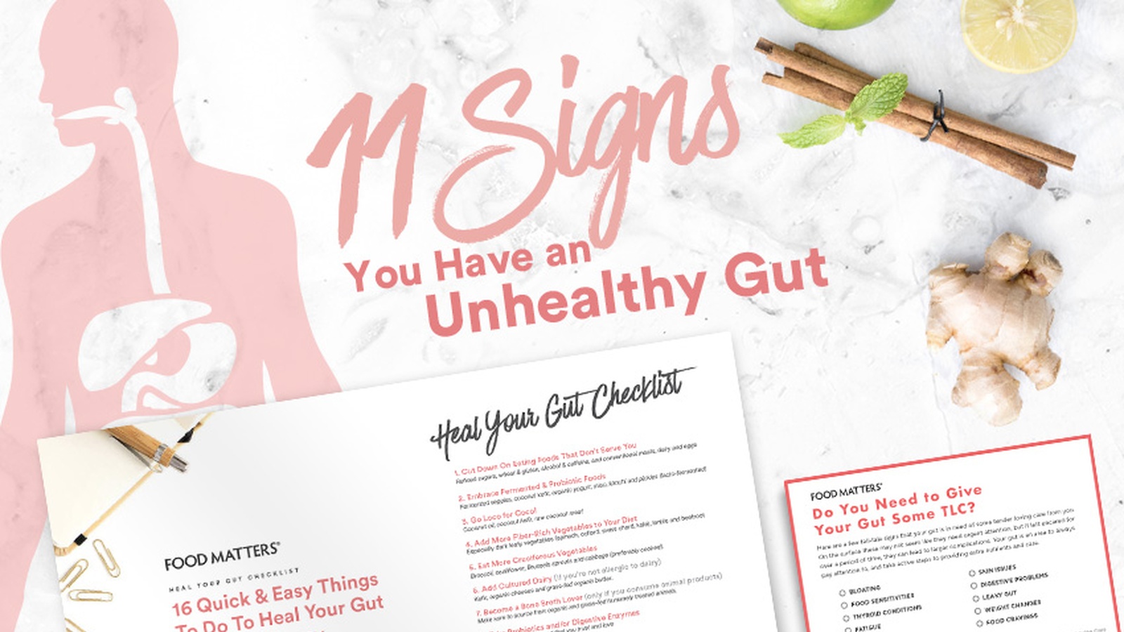 11 Signs You Have an Unhealthy Gut and 4 Steps to Heal It 