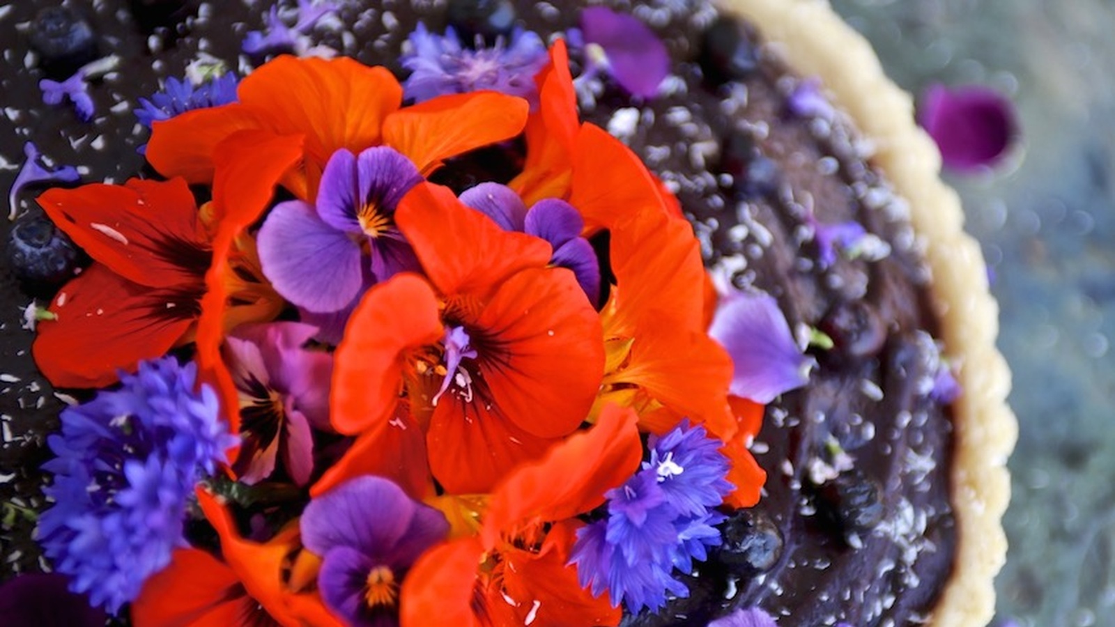 Raw Blueberry Tart