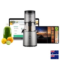 H300e Hurom Cold Press Juicer (Titanium Silver)