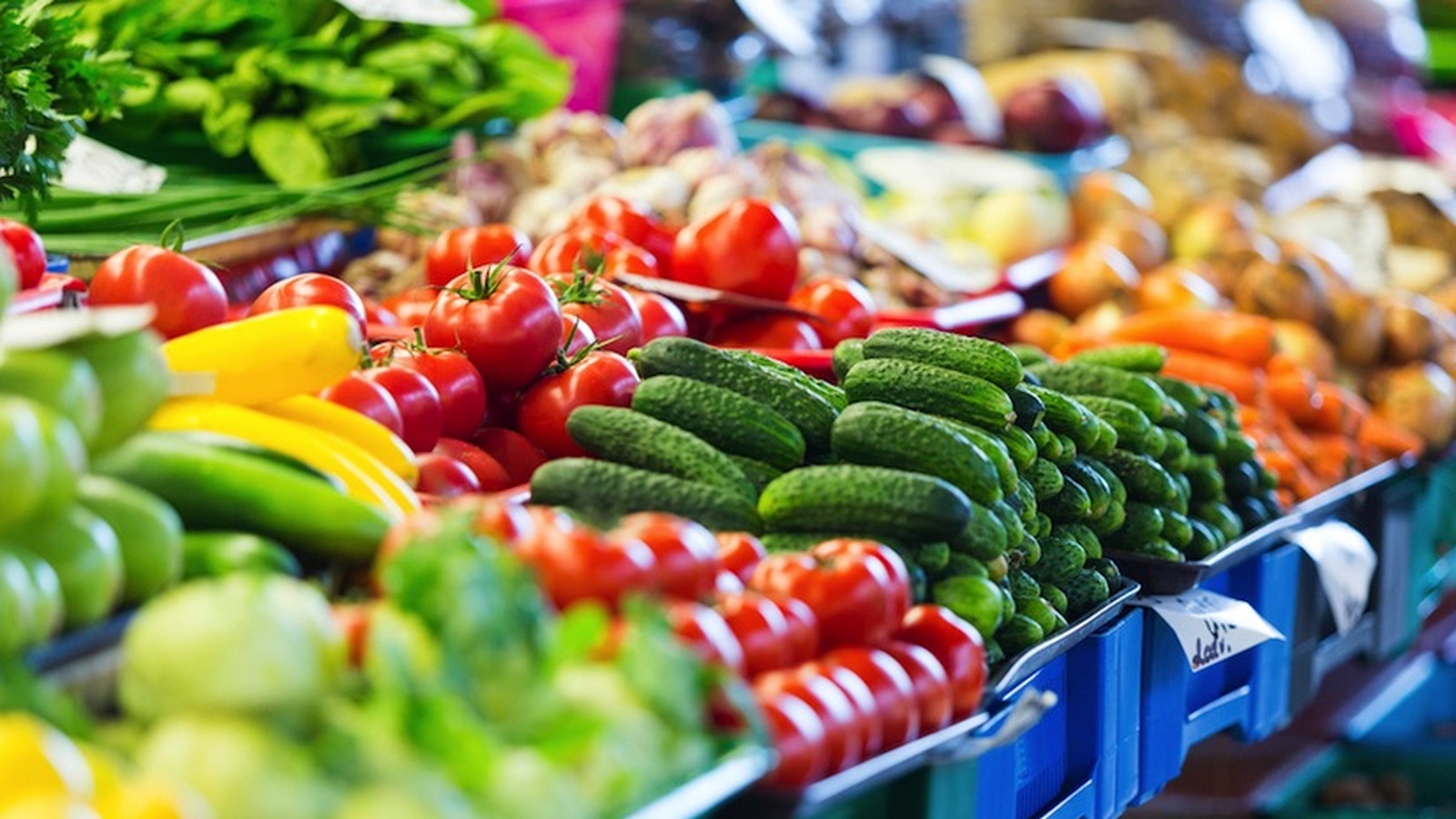 France - banned from throwing away or destroying unsold food