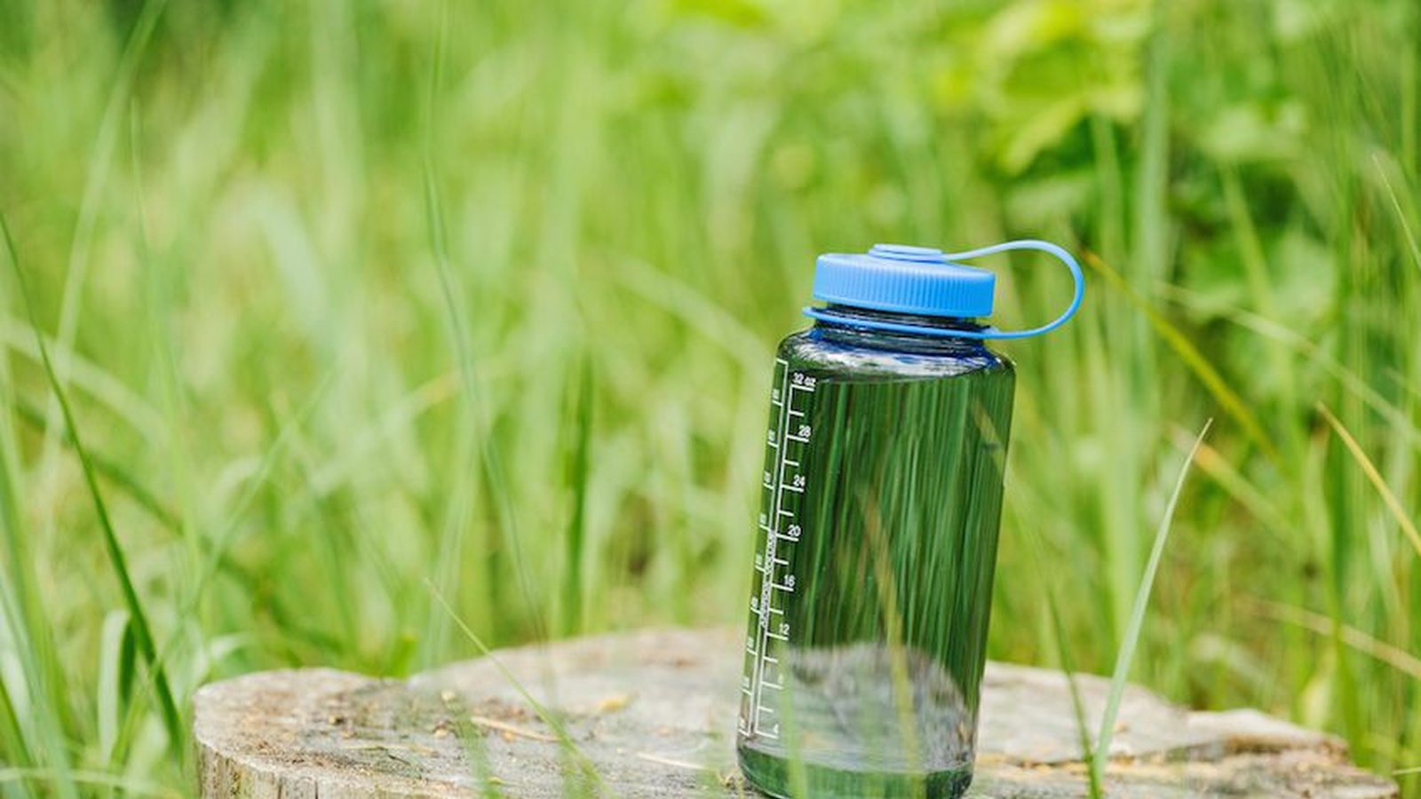 Is BPA-Free Really Any Healthier?