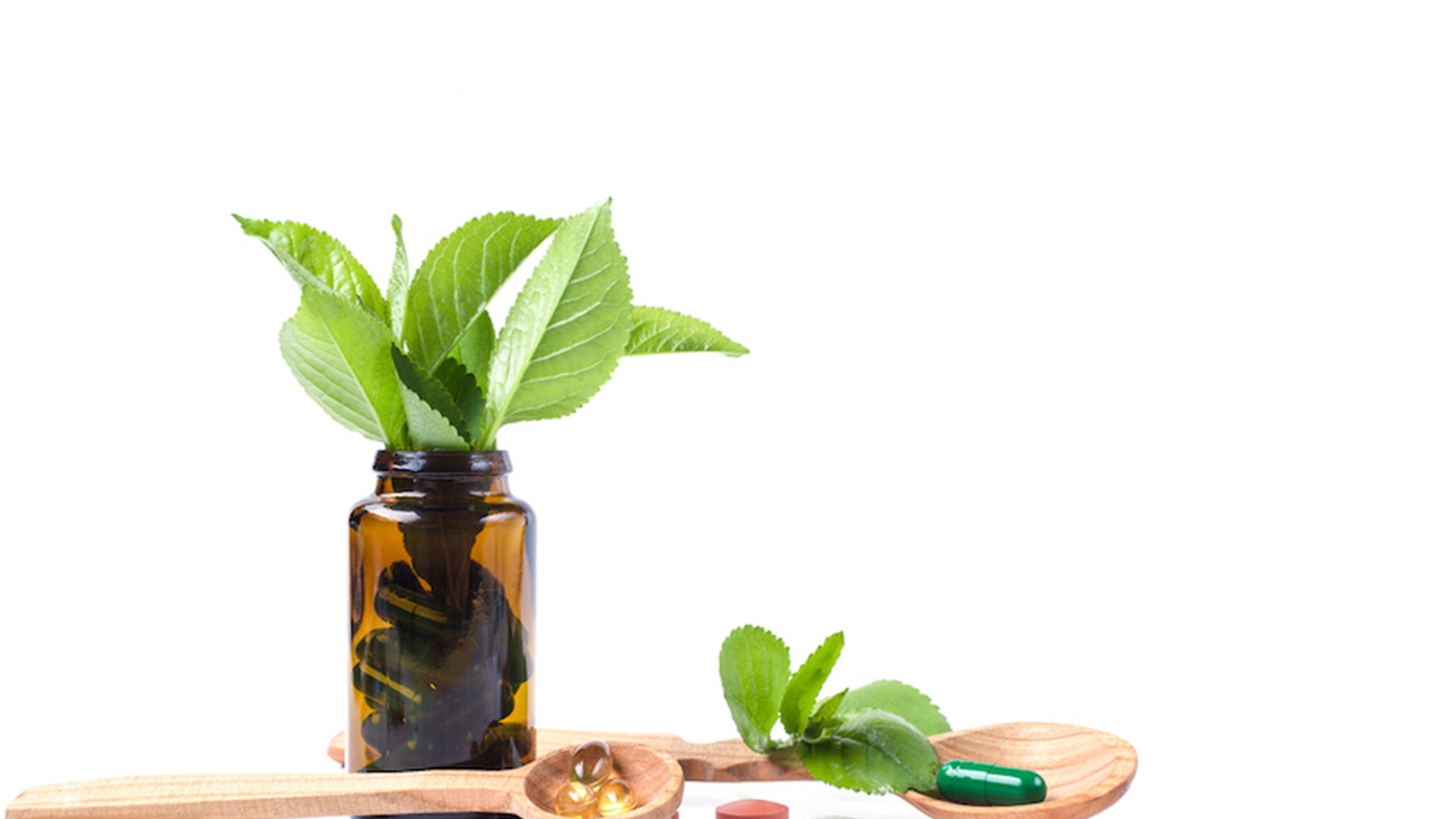 Enhancing Human Performance with Plant Medicine