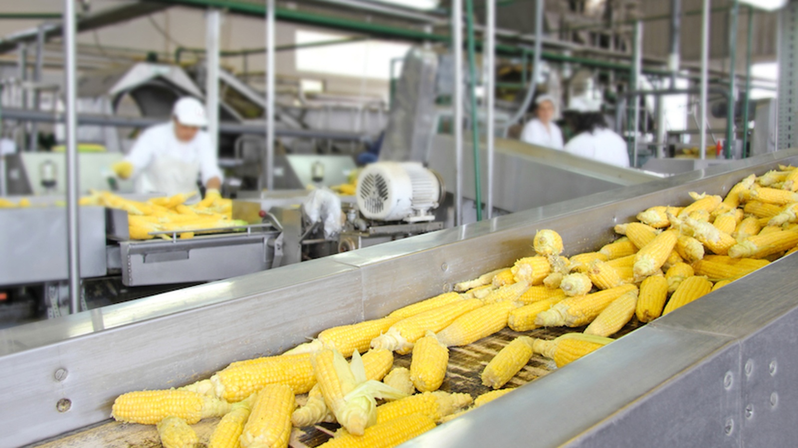 Dirty Secrets of The Food Processing Industry