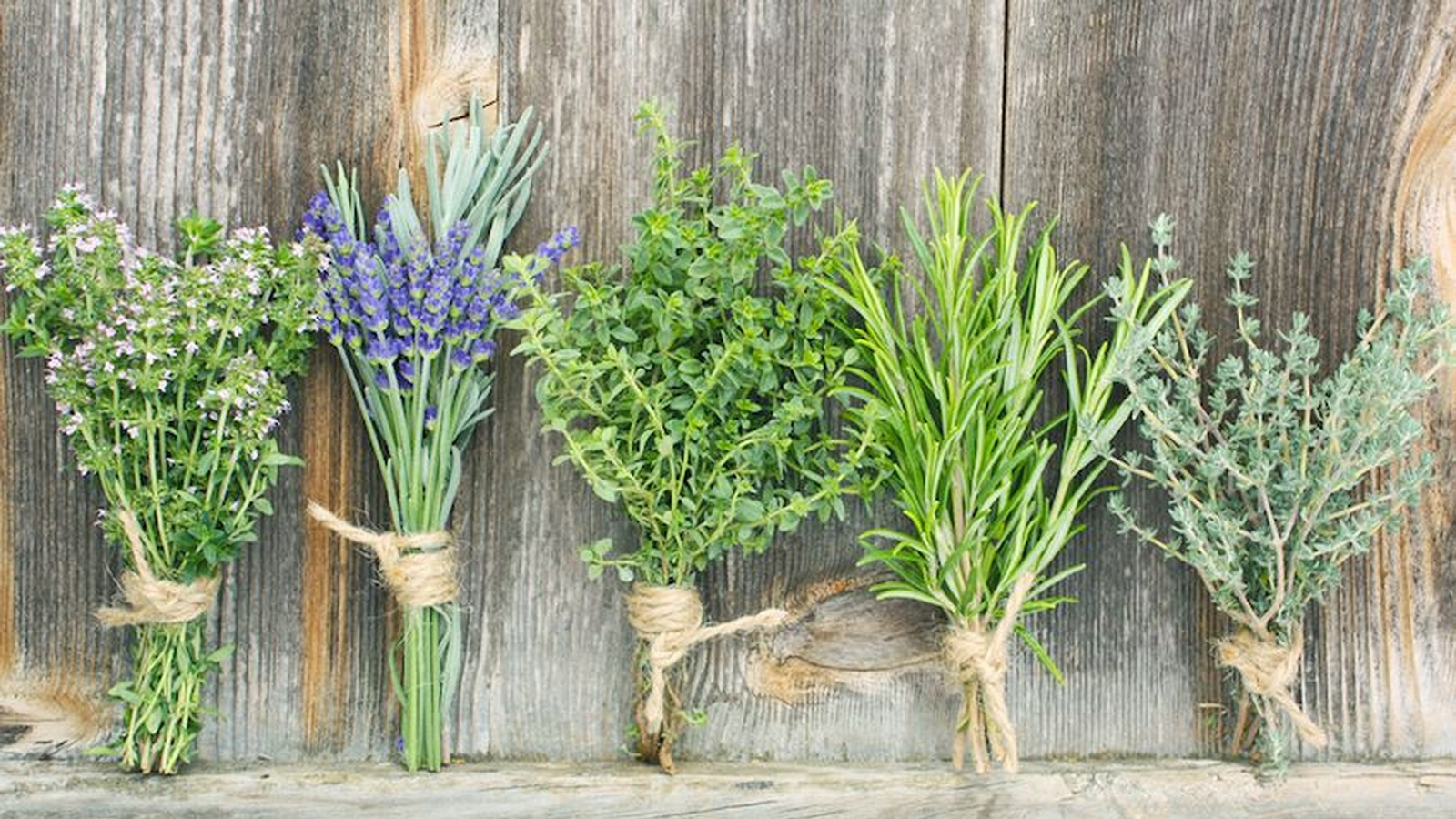5 Herbs To Calm Anxiety (Without Being Drowsy)