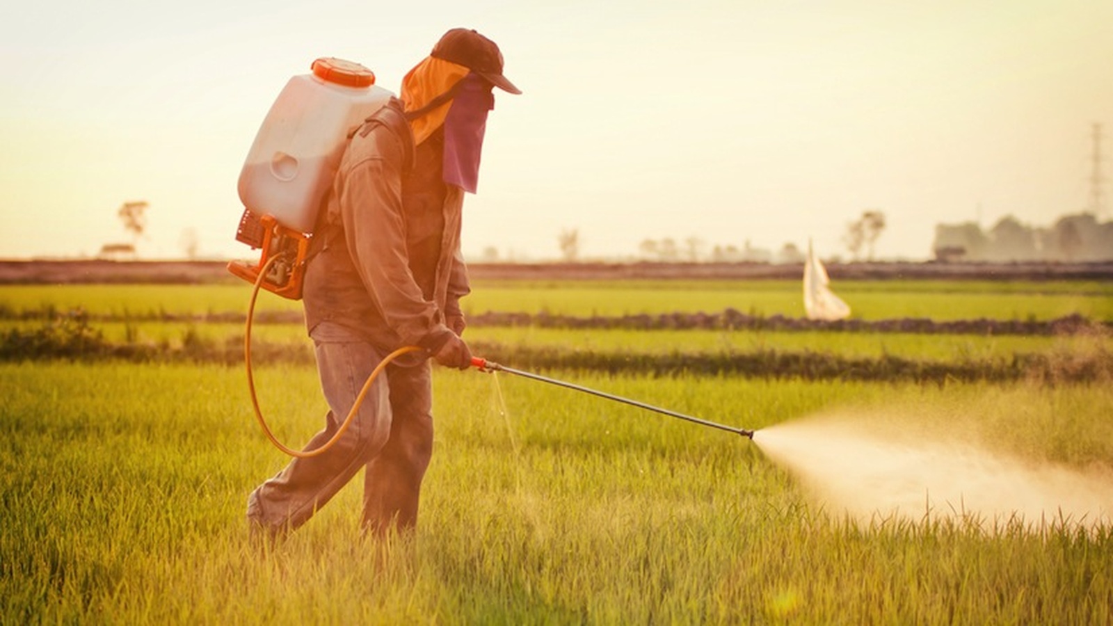 New Harvard Research Shows Link Between ADHD and Pesticides