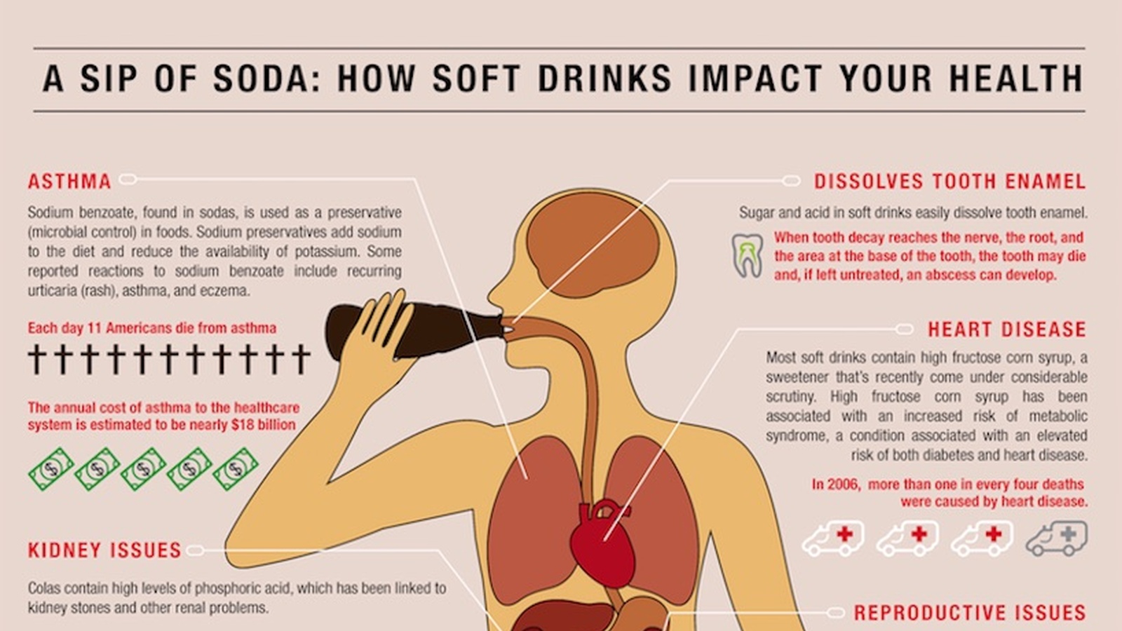 A Sip Of Soda: How Soft Drinks Impact Your Health