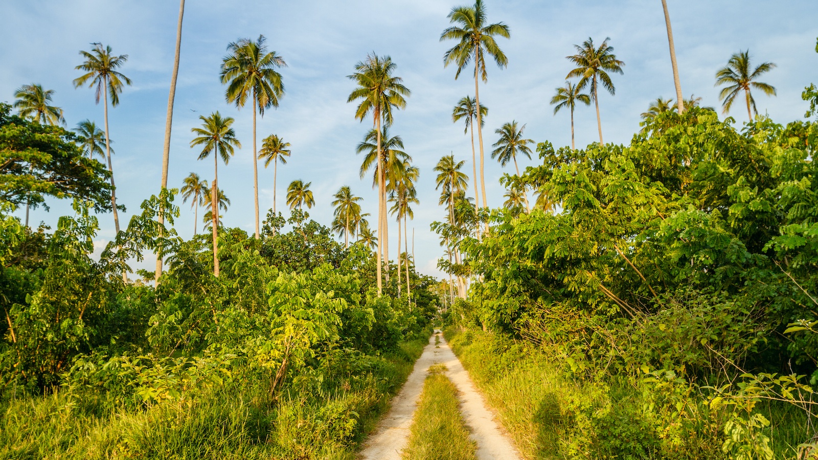 We’re Building a Nature School in Vanuatu!