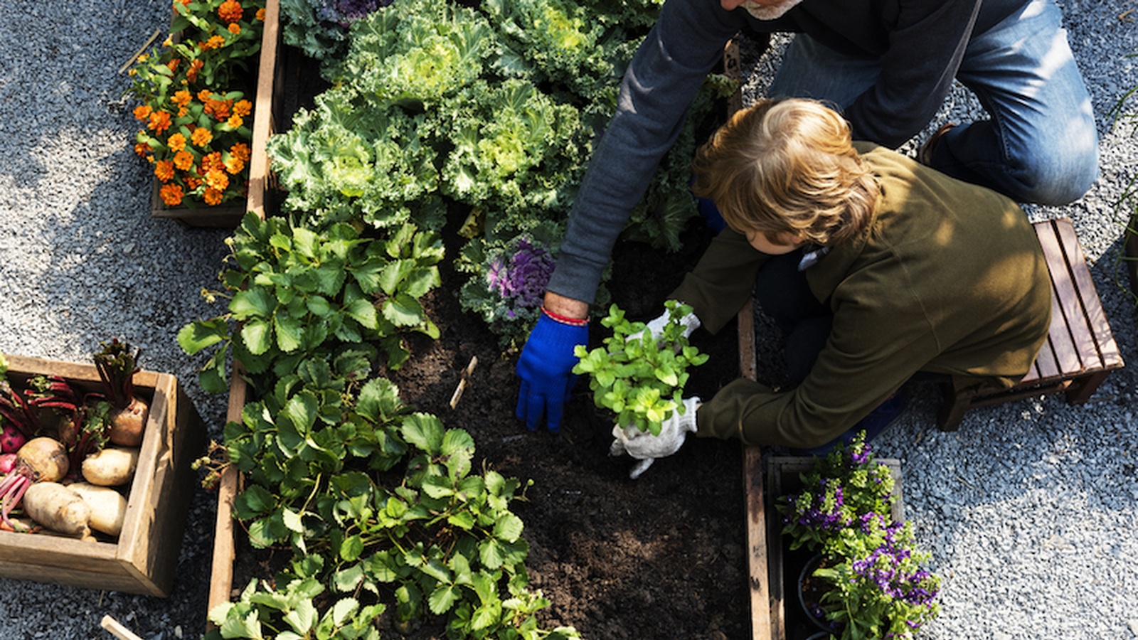 Your Guide To Organic Gardening