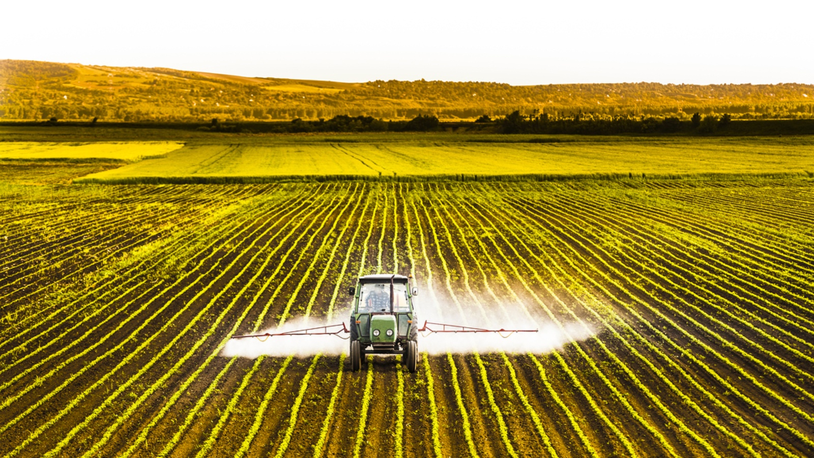 Herbicides Wreaking Havoc Across The United States