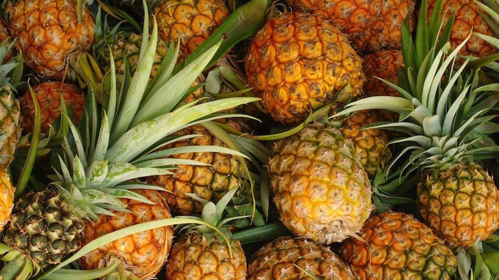 16 Powerful Reasons to Eat Pineapple | FOOD MATTERS®