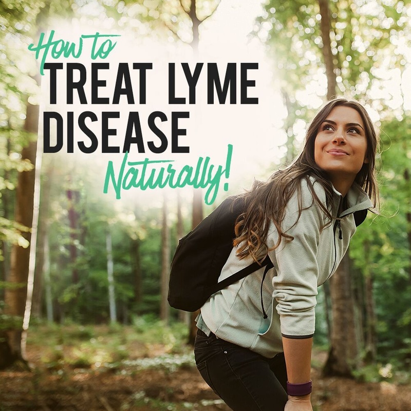 How To Treat Lyme Disease Naturally