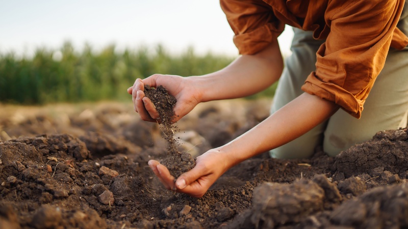 The Top Reasons Soil Is So Important to Our Health