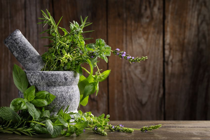 8 Of The Best Herbs And Spices For Natural Healing | FOOD ... on {keyword}