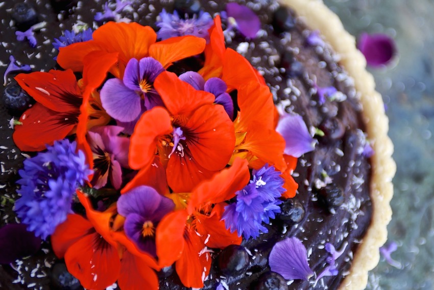 Raw Blueberry Tart | FOOD MATTERS®